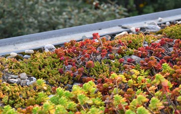 the cost of Epperstone green roof installation